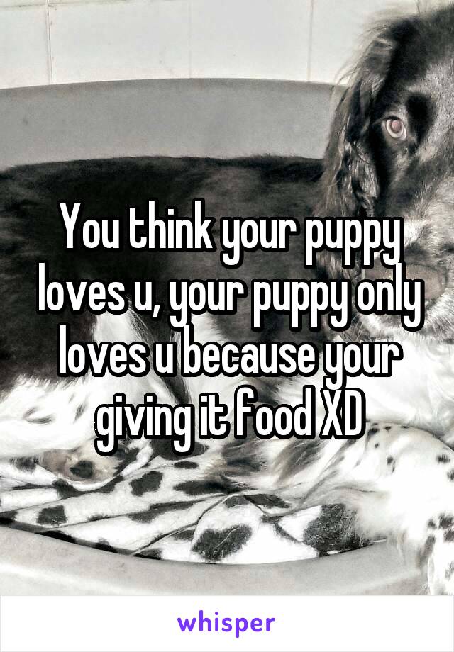 You think your puppy loves u, your puppy only loves u because your giving it food XD