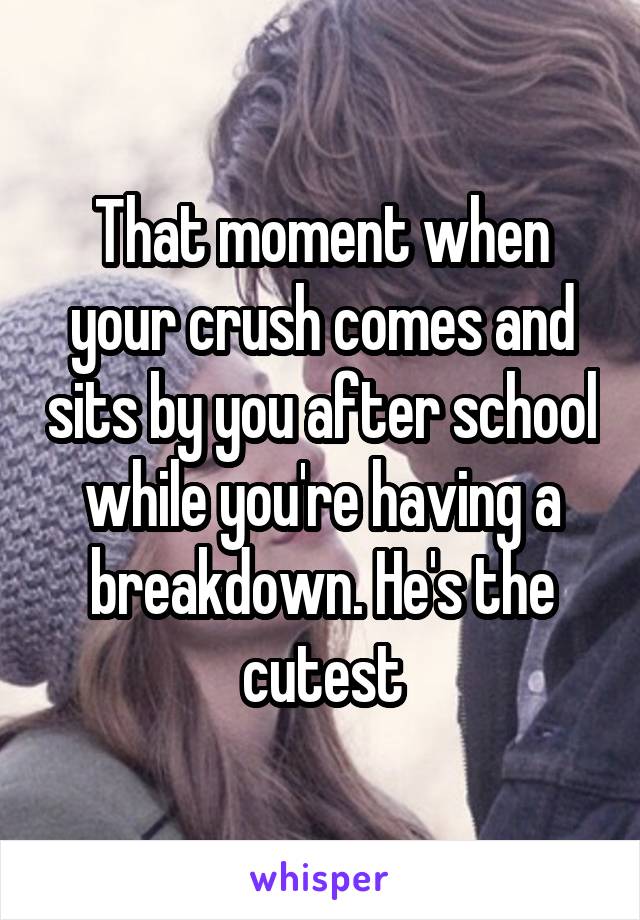 That moment when your crush comes and sits by you after school while you're having a breakdown. He's the cutest