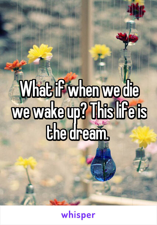 What if when we die we wake up? This life is the dream. 