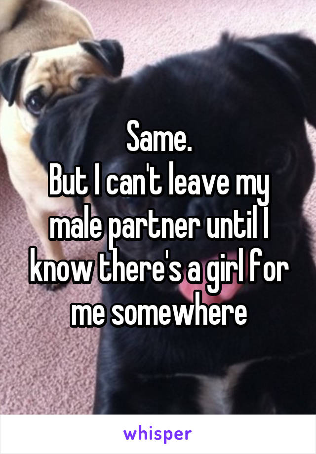 Same.
But I can't leave my male partner until I know there's a girl for me somewhere