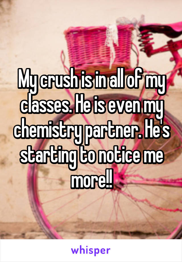 My crush is in all of my classes. He is even my chemistry partner. He's starting to notice me more!!