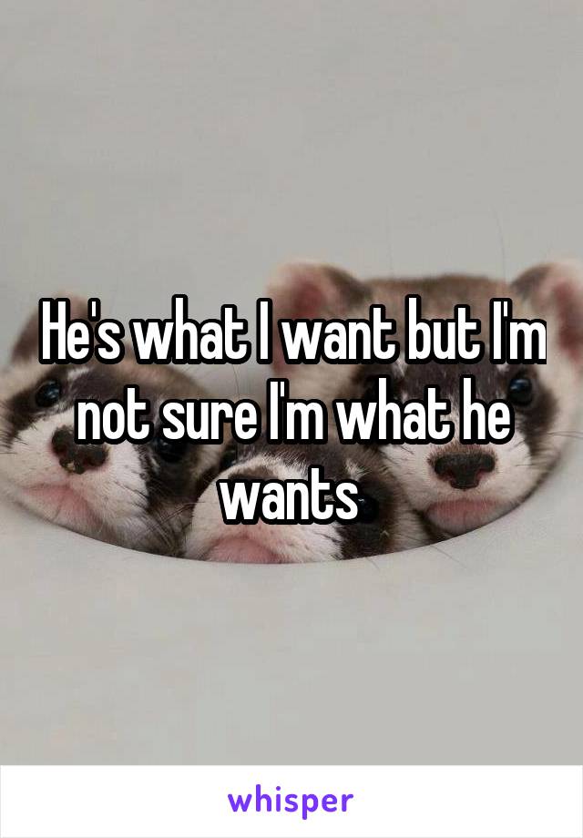 He's what I want but I'm not sure I'm what he wants 