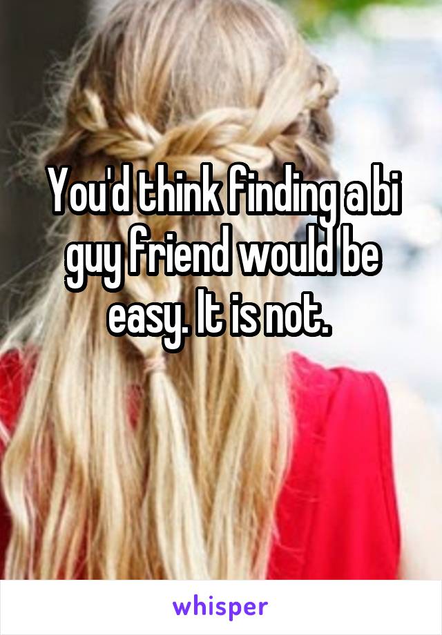 You'd think finding a bi guy friend would be easy. It is not. 

