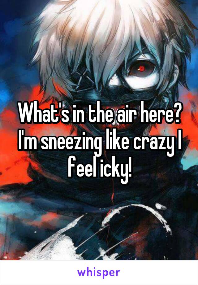 What's in the air here? I'm sneezing like crazy I feel icky!