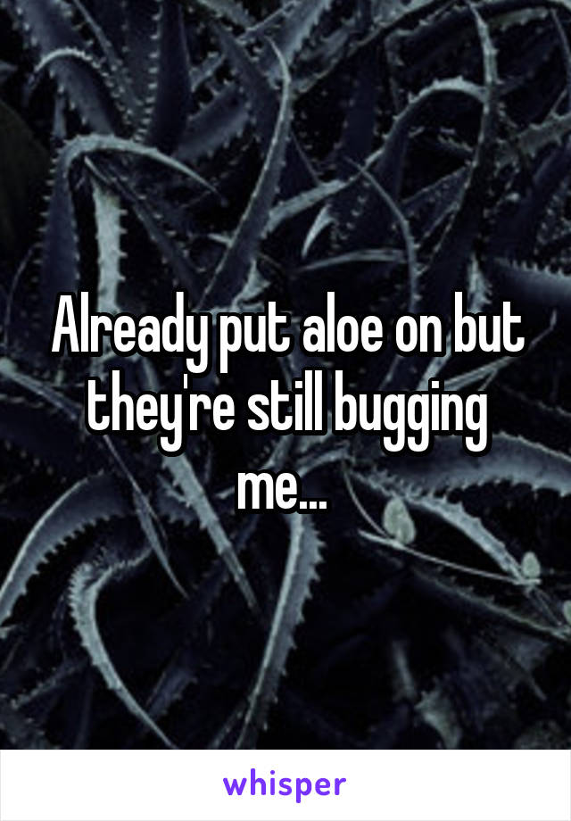 Already put aloe on but they're still bugging me... 