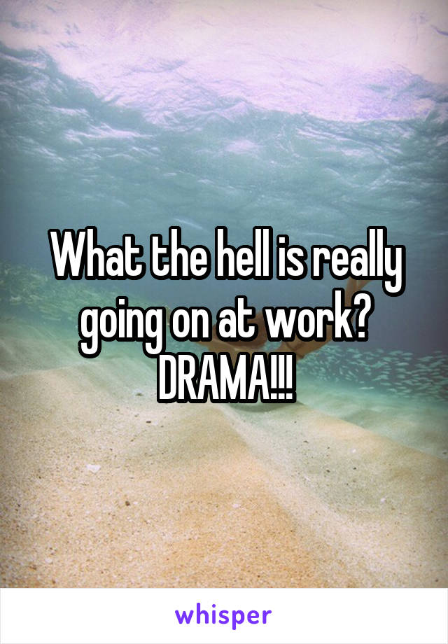 What the hell is really going on at work? DRAMA!!!