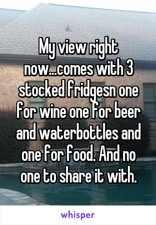 My view right now...comes with 3 stocked fridgesn one for wine one for beer and waterbottles and one for food. And no one to share it with.