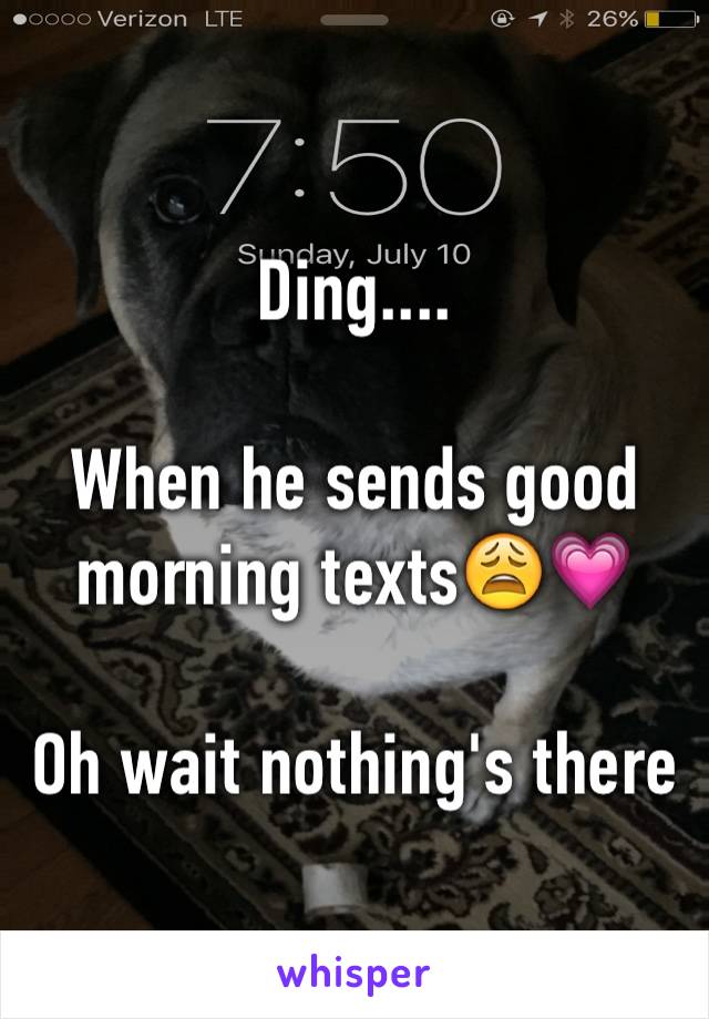 Ding....

When he sends good morning texts😩💗

Oh wait nothing's there 