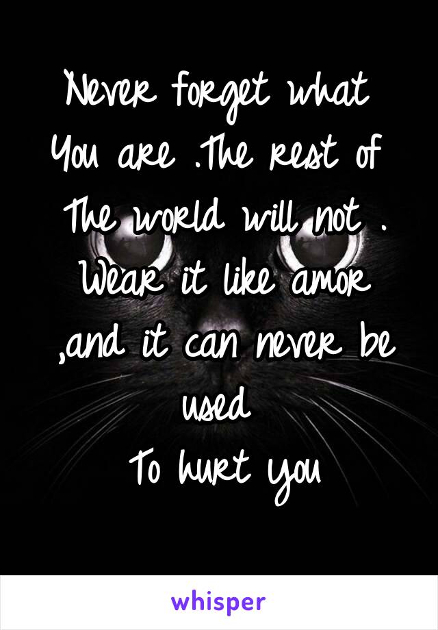 Never forget what 
You are .The rest of 
The world will not .
Wear it like amor ,and it can never be used 
To hurt you
