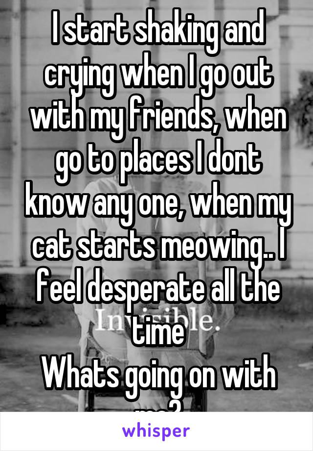 I start shaking and crying when I go out with my friends, when go to places I dont know any one, when my cat starts meowing.. I feel desperate all the time
Whats going on with me?