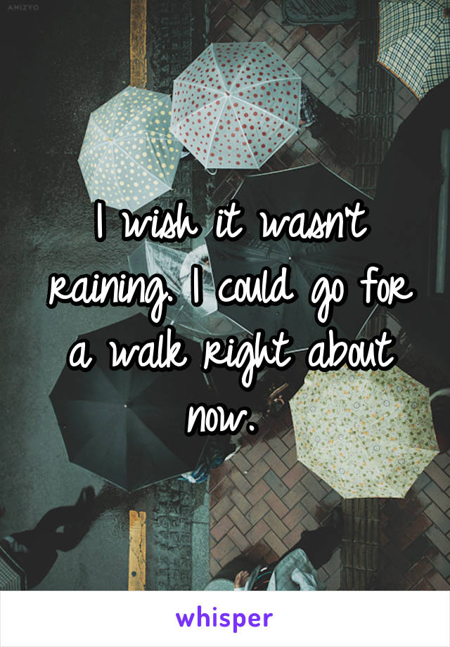 I wish it wasn't raining. I could go for a walk right about now. 