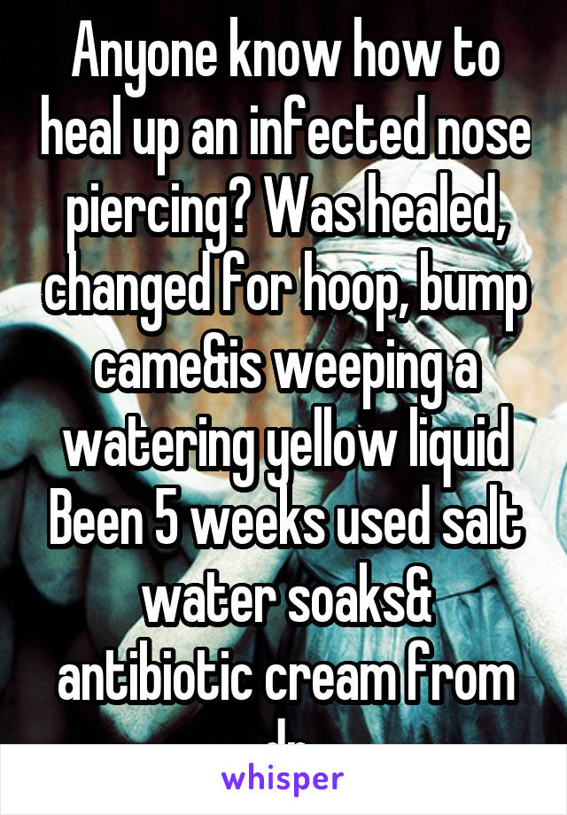 Anyone know how to heal up an infected nose piercing? Was healed, changed for hoop, bump came&is weeping a watering yellow liquid Been 5 weeks used salt water soaks& antibiotic cream from dr