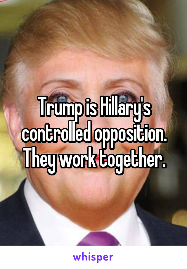 Trump is Hillary's controlled opposition. They work together.