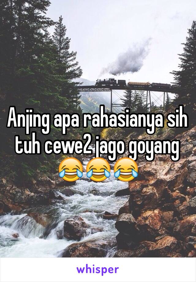 Anjing apa rahasianya sih tuh cewe2 jago goyang 😂😂😂 