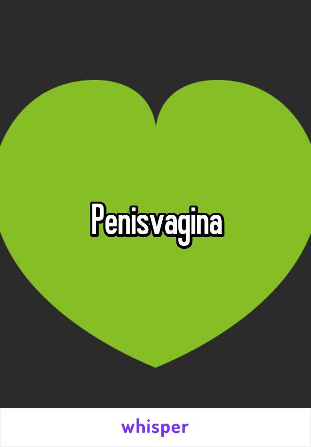 Penisvagina