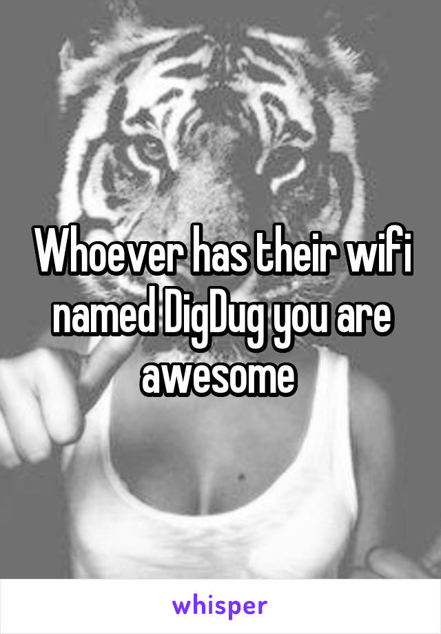 Whoever has their wifi named DigDug you are awesome 