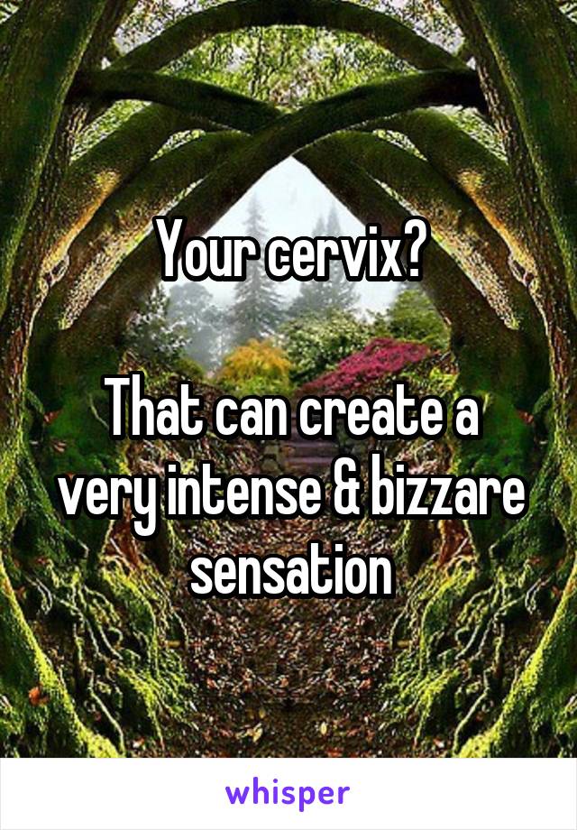 Your cervix?

That can create a very intense & bizzare sensation