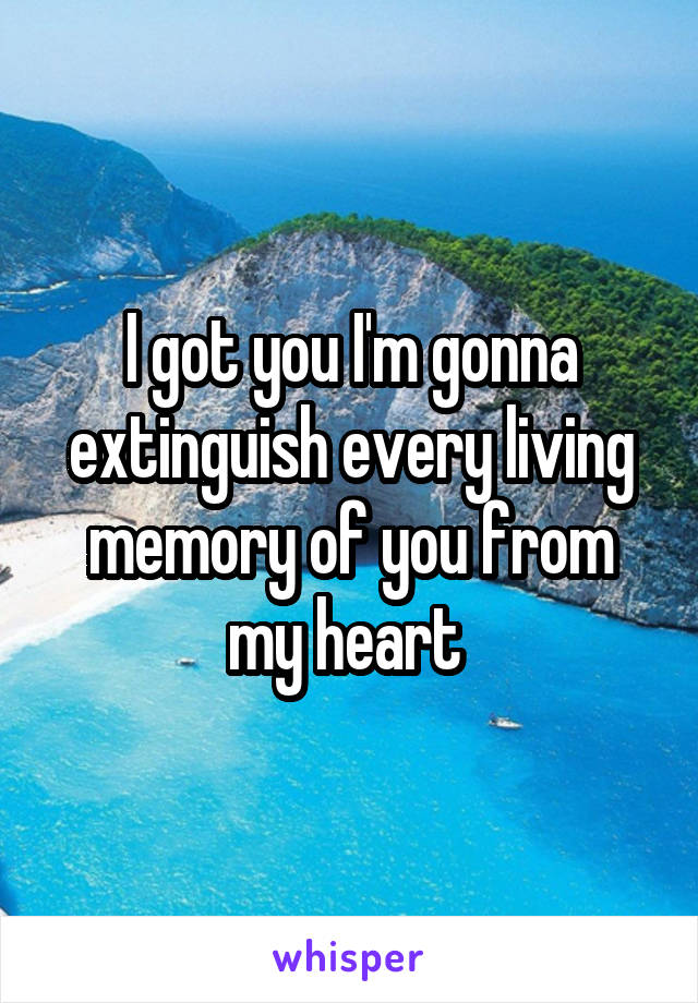 I got you I'm gonna extinguish every living memory of you from my heart 