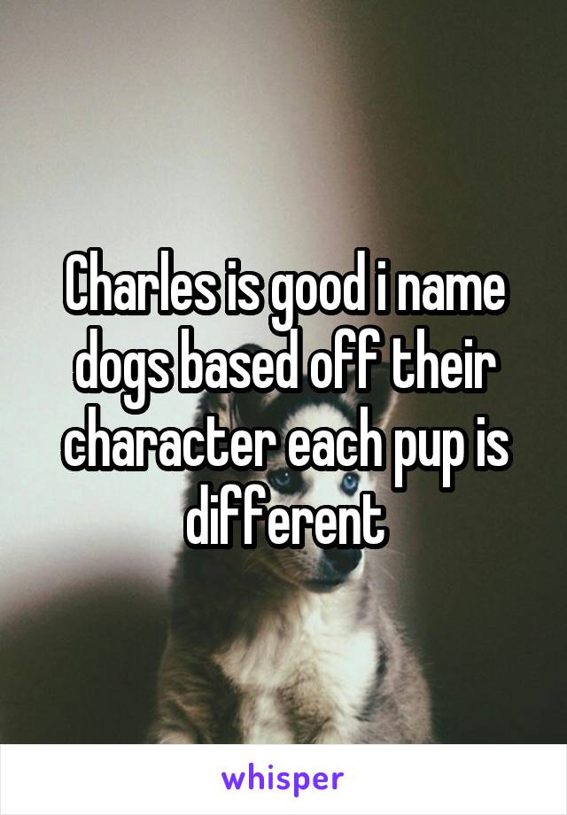 Charles is good i name dogs based off their character each pup is different