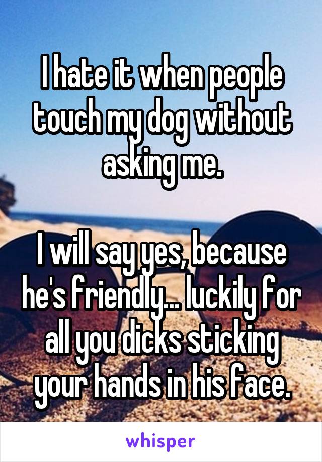 I hate it when people touch my dog without asking me.

I will say yes, because he's friendly... luckily for all you dicks sticking your hands in his face.