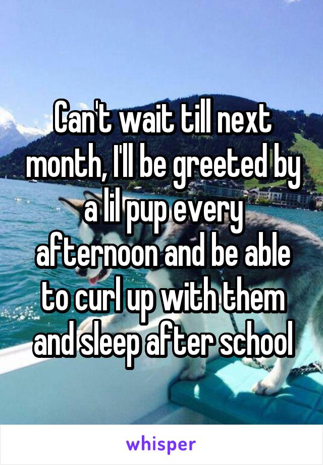 Can't wait till next month, I'll be greeted by a lil pup every afternoon and be able to curl up with them and sleep after school