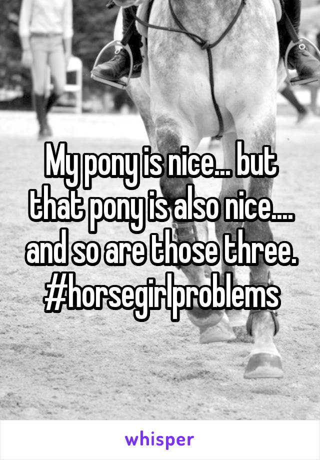 My pony is nice... but that pony is also nice.... and so are those three. #horsegirlproblems