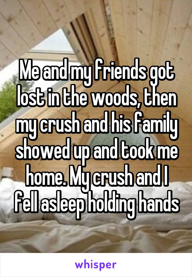 Me and my friends got lost in the woods, then my crush and his family showed up and took me home. My crush and I fell asleep holding hands