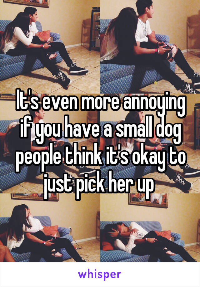 It's even more annoying if you have a small dog people think it's okay to just pick her up 