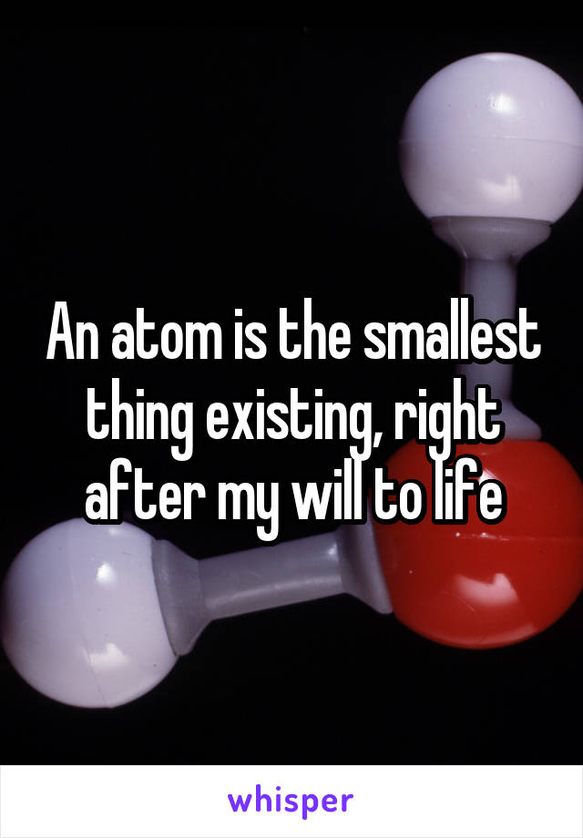 An atom is the smallest thing existing, right after my will to life