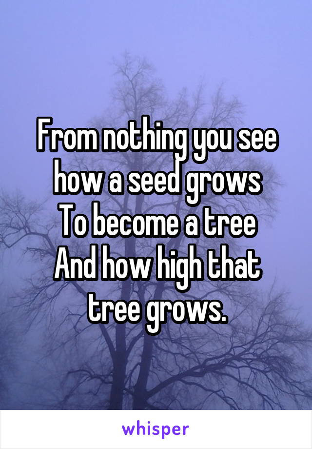 From nothing you see how a seed grows
To become a tree
And how high that tree grows.