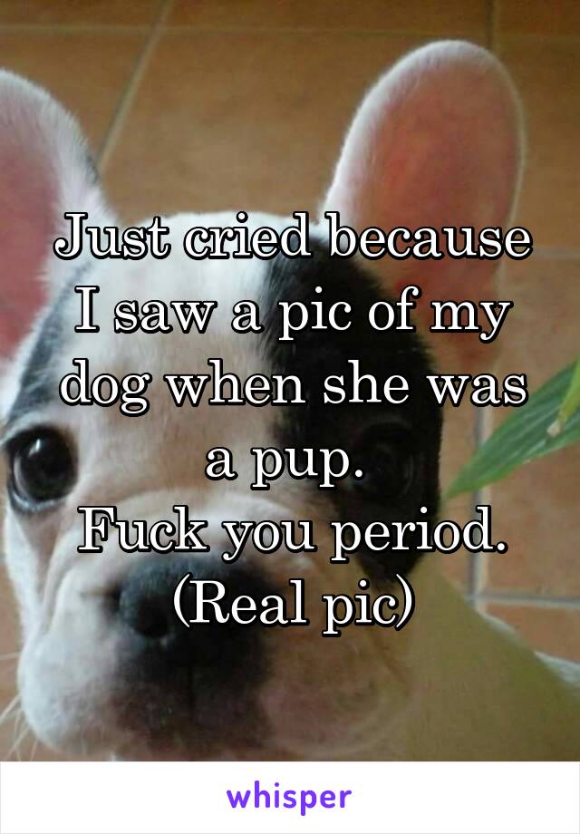 Just cried because I saw a pic of my dog when she was a pup. 
Fuck you period.
(Real pic)