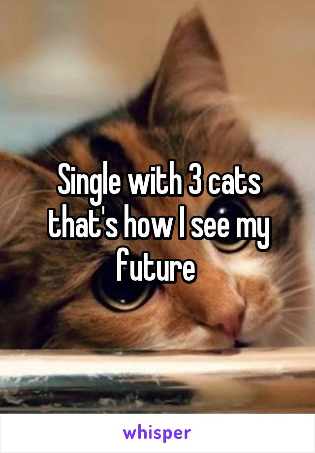 Single with 3 cats that's how I see my future 