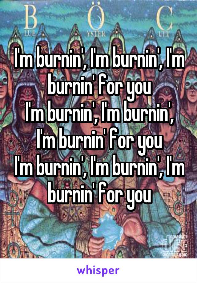 I'm burnin', I'm burnin', I'm burnin' for you
I'm burnin', I'm burnin', I'm burnin' for you
I'm burnin', I'm burnin', I'm burnin' for you
