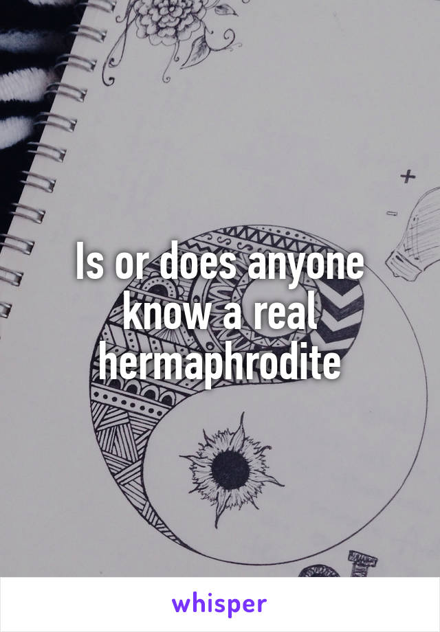 Is or does anyone know a real hermaphrodite