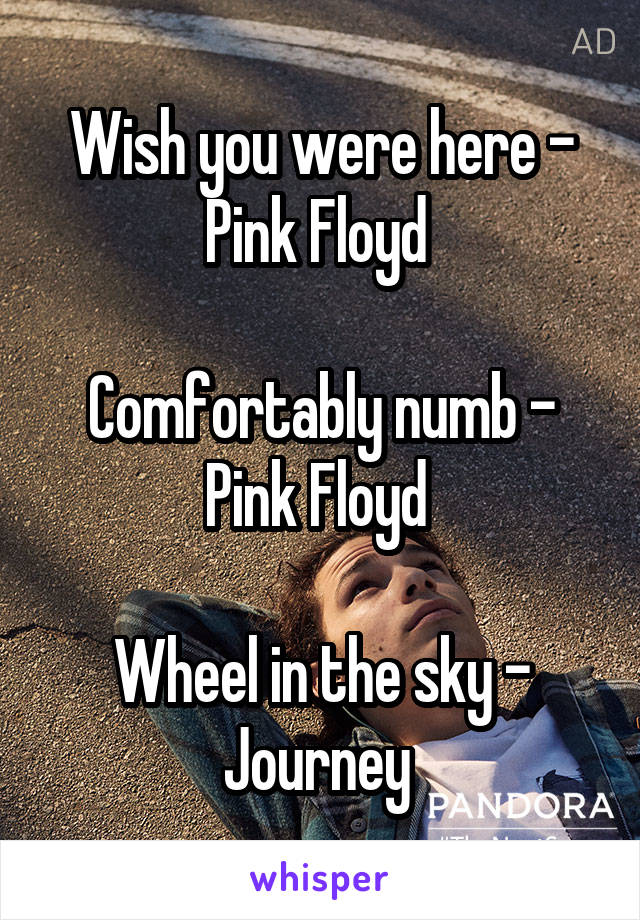 Wish you were here - Pink Floyd 

Comfortably numb - Pink Floyd 

Wheel in the sky - Journey 