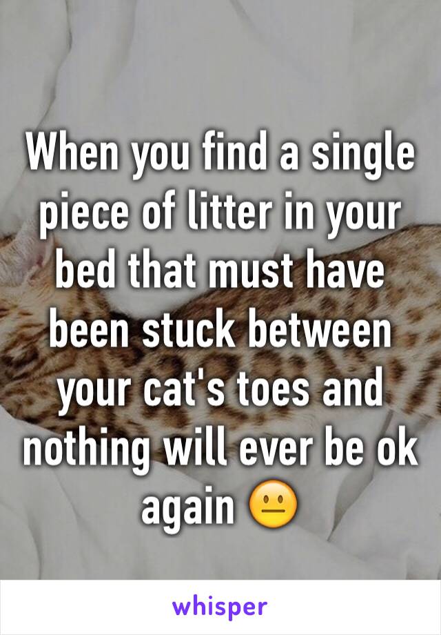 When you find a single piece of litter in your bed that must have been stuck between your cat's toes and nothing will ever be ok again 😐