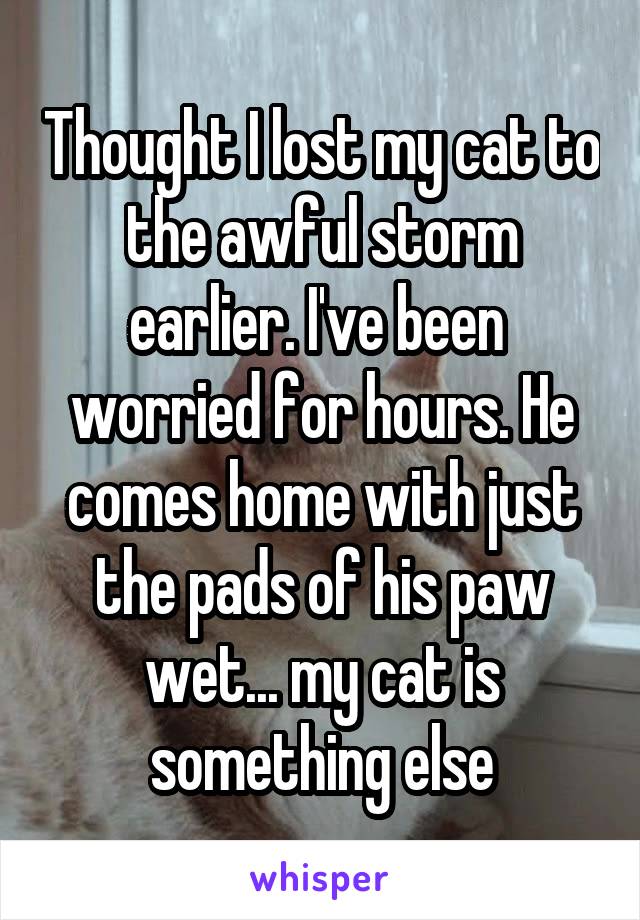 Thought I lost my cat to the awful storm earlier. I've been  worried for hours. He comes home with just the pads of his paw wet... my cat is something else