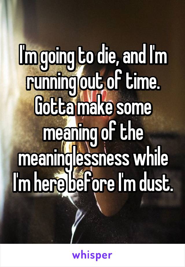 I'm going to die, and I'm running out of time. Gotta make some meaning of the meaninglessness while I'm here before I'm dust. 