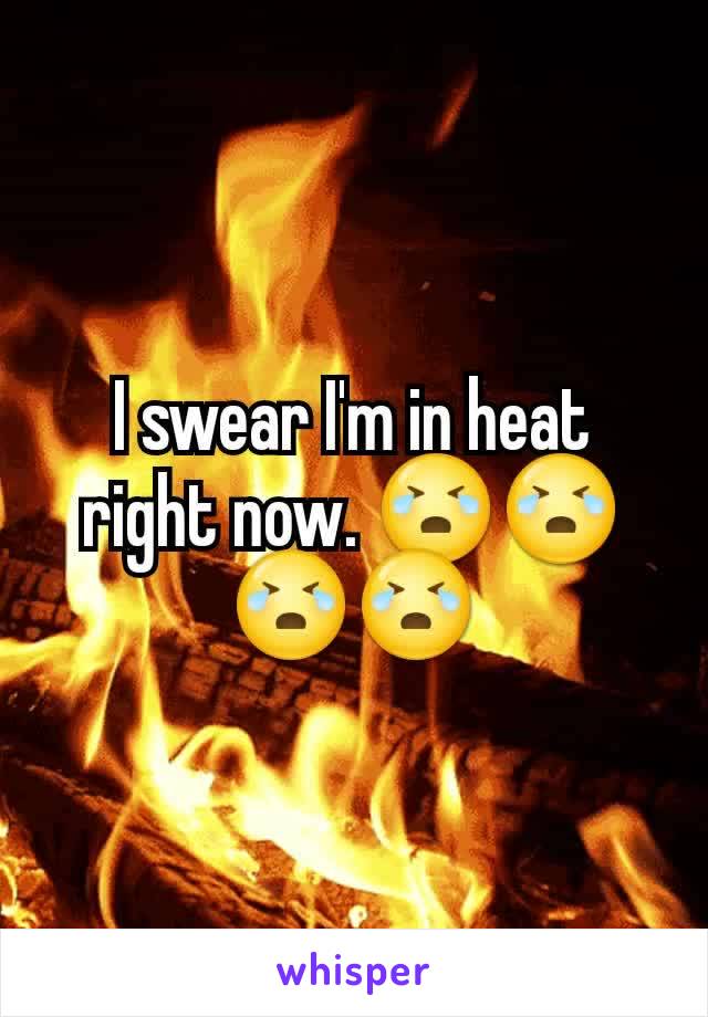 I swear I'm in heat right now. 😭😭😭😭