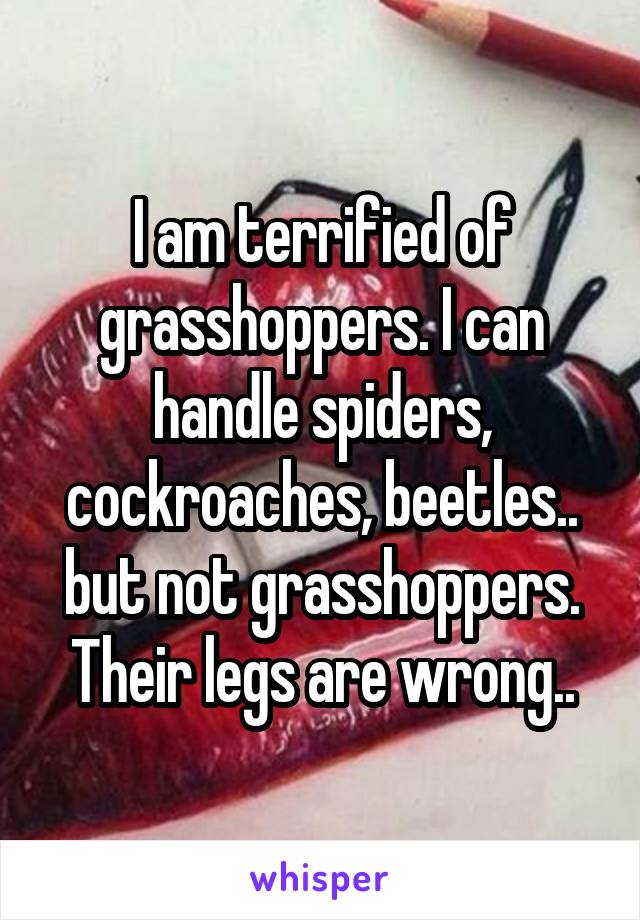 I am terrified of grasshoppers. I can handle spiders, cockroaches, beetles.. but not grasshoppers.
Their legs are wrong..