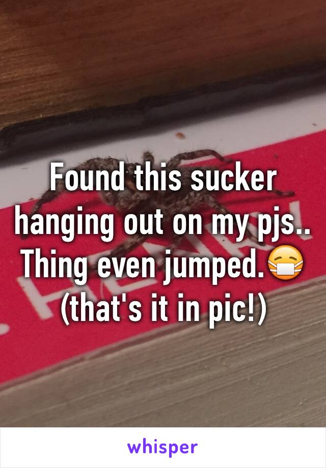 Found this sucker hanging out on my pjs.. Thing even jumped.😷(that's it in pic!)