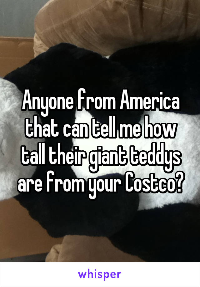 Anyone from America that can tell me how tall their giant teddys are from your Costco?