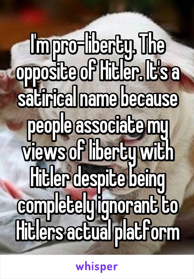 I'm pro-liberty. The opposite of Hitler. It's a satirical name because people associate my views of liberty with Hitler despite being completely ignorant to Hitlers actual platform