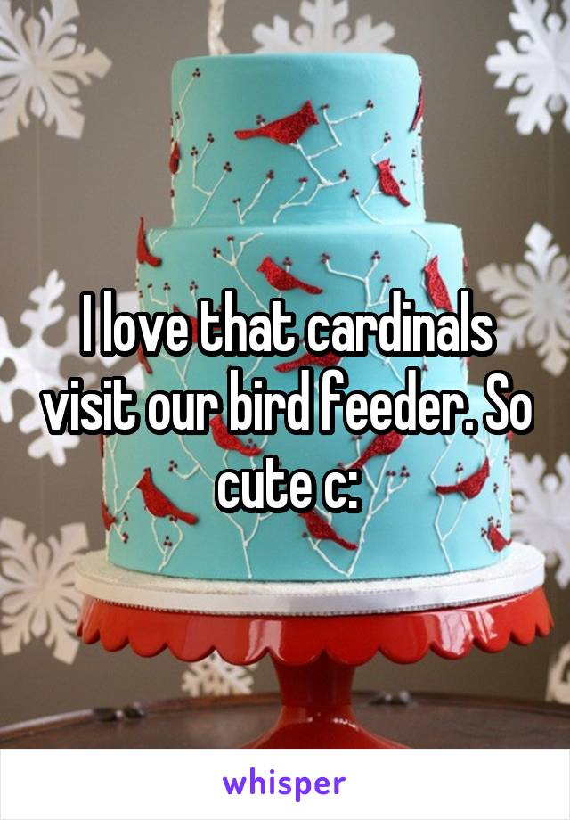 I love that cardinals visit our bird feeder. So cute c: