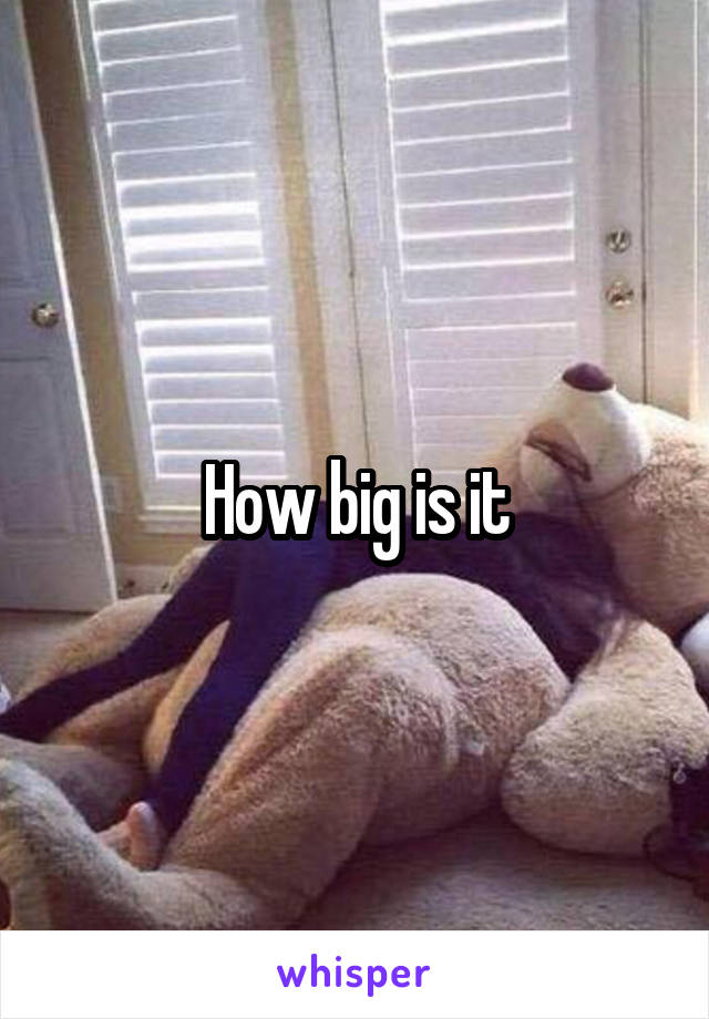 How big is it