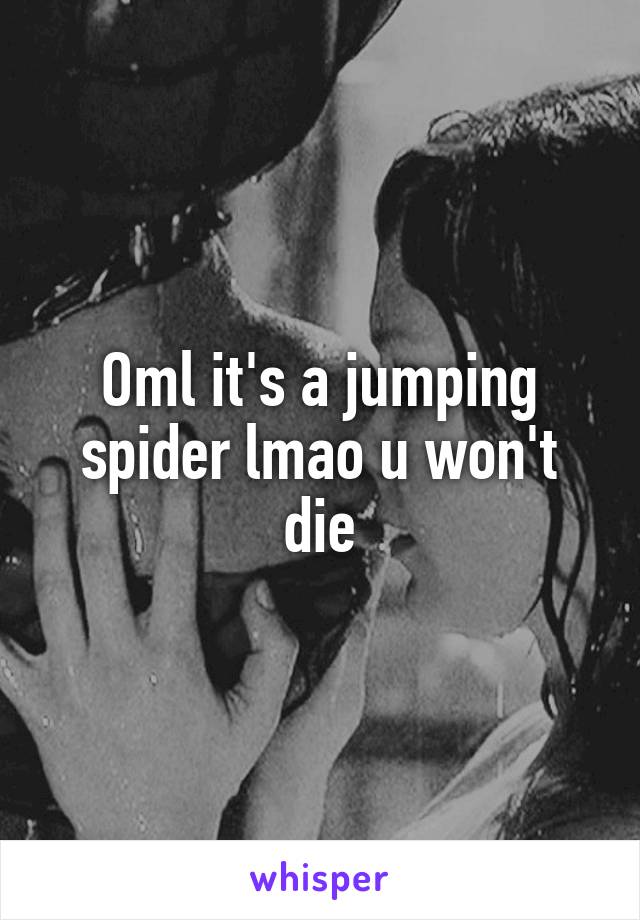 Oml it's a jumping spider lmao u won't die