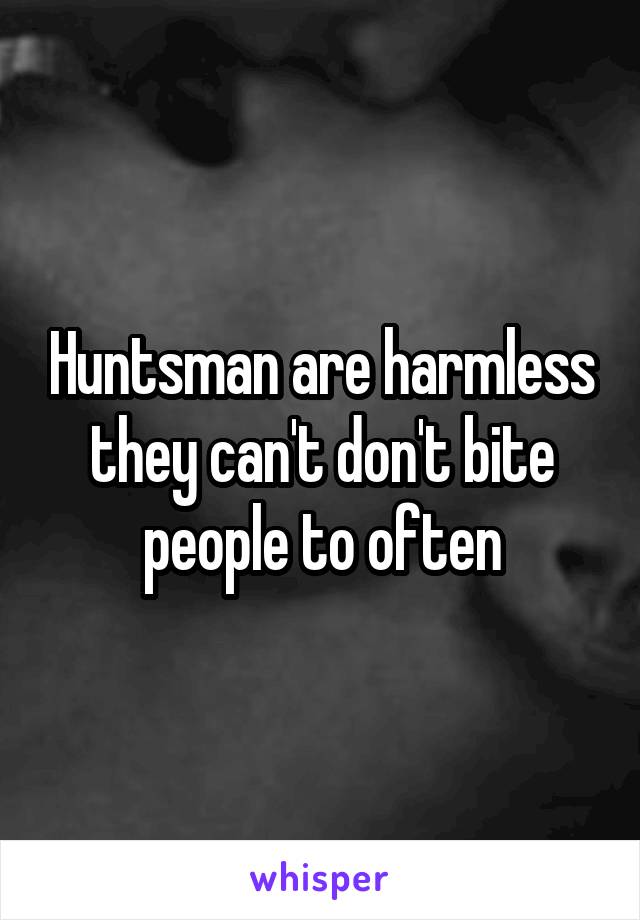 Huntsman are harmless they can't don't bite people to often