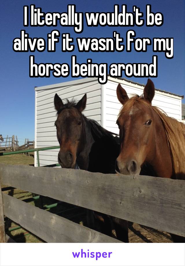 I literally wouldn't be alive if it wasn't for my horse being around






