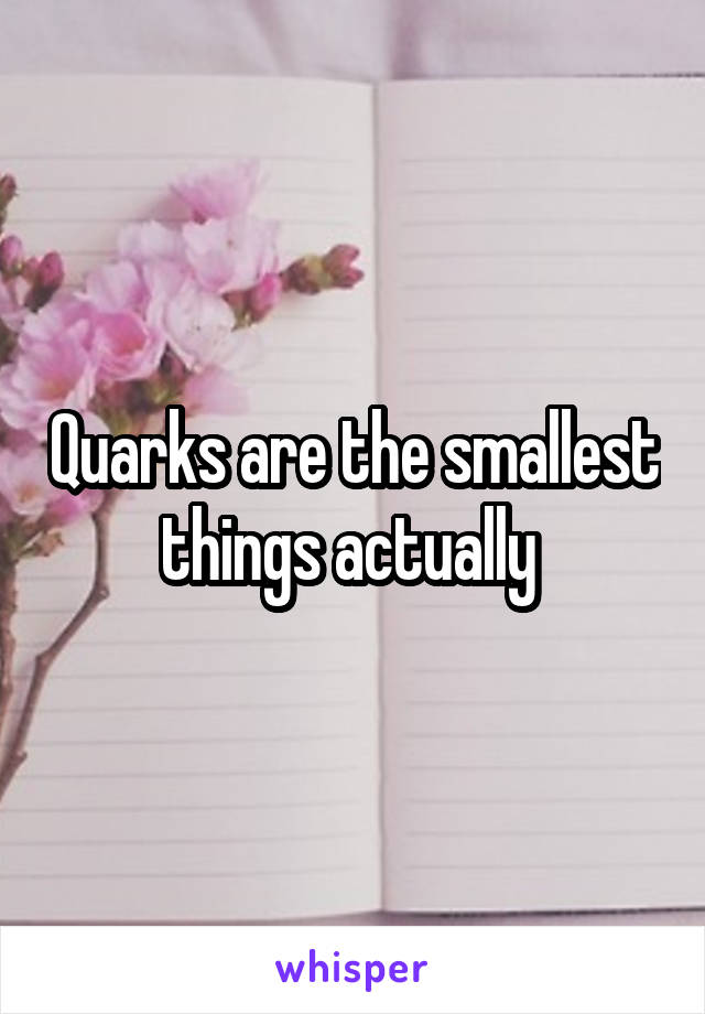 Quarks are the smallest things actually 