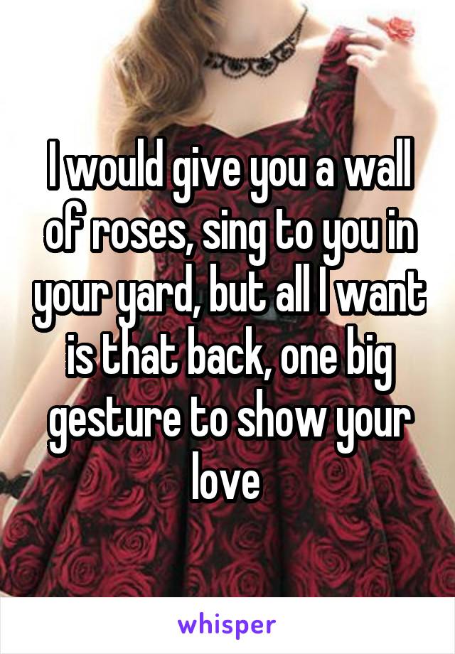 I would give you a wall of roses, sing to you in your yard, but all I want is that back, one big gesture to show your love 